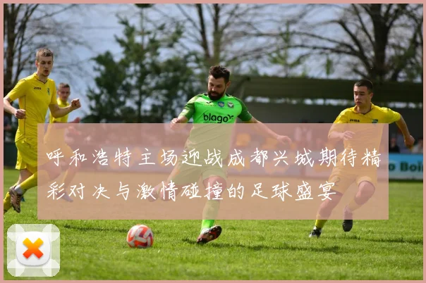 呼和浩特主场迎战成都兴城期待精彩对决与激情碰撞的足球盛宴